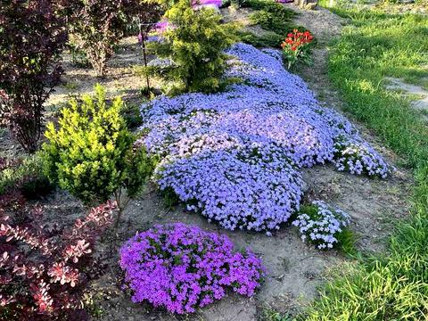 дом по адресу Центральная, 45