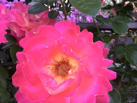 дом по адресу Центральная, 45