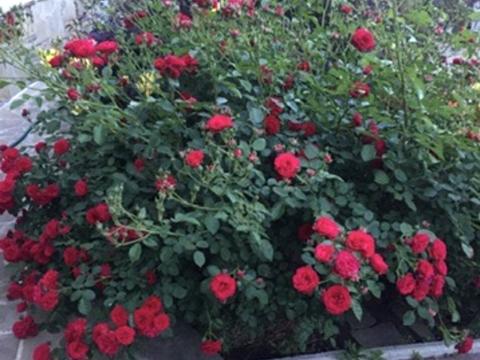 дом по адресу Центральная, 45