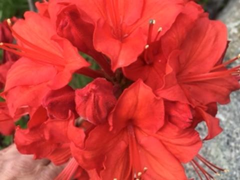 дом по адресу Центральная, 45