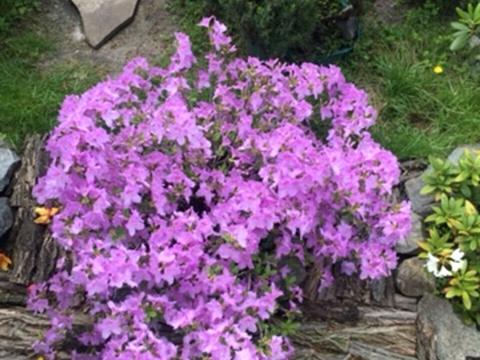 дом по адресу Центральная, 45