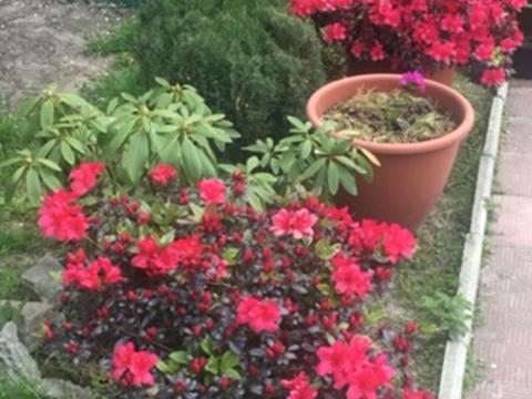 дом по адресу Центральная, 45