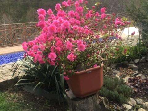 дом по адресу Центральная, 45