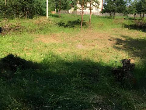 участок по адресу провулок Лісовий, 1