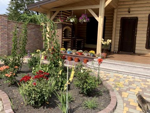 будинок за адресою Дмитра Павличка вул.