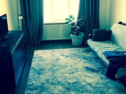 квартира за адресою Панікахи вул., 77а/11