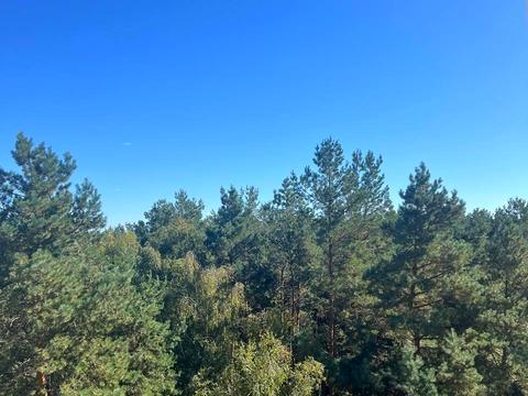 квартира за адресою Паркова вул., 12