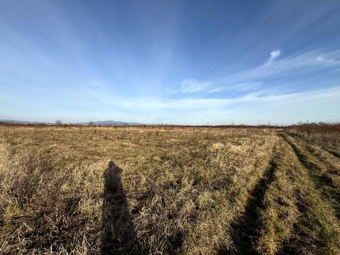участок по адресу Залізична