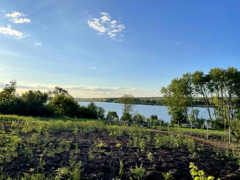 участок по адресу Озерна, 7