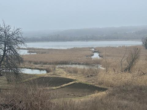 ділянка за адресою Першотравнева, 148