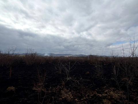 участок по адресу 