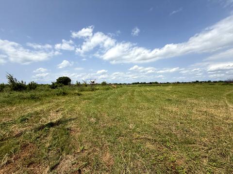 ділянка за адресою Джерельна