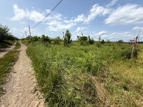 ділянка за адресою Джерельна