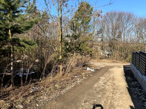 участок по адресу Курбаса ул., 41