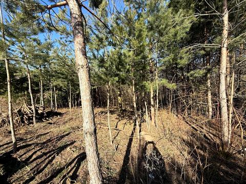 участок по адресу Курбаса ул., 41