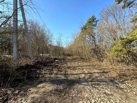 участок по адресу Курбаса ул., 41