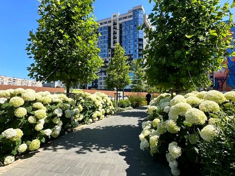 квартира по адресу Спортивна ул., 3/2