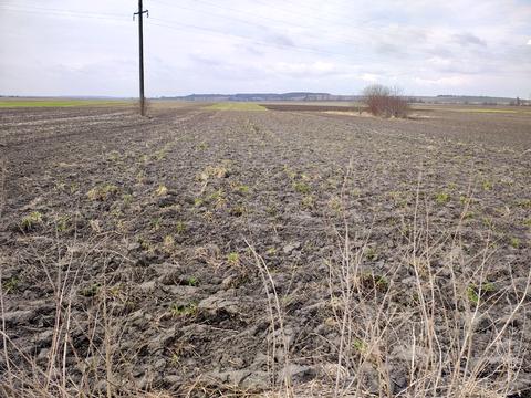 будинок за адресою Зелена, 38