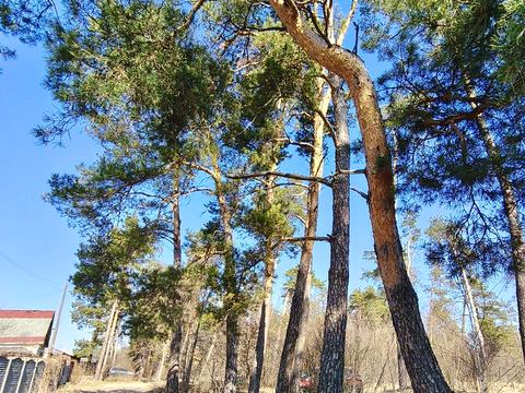 дом по адресу Урочище Святое ул. (Пролетарский Гай), 38