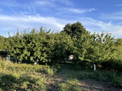 дом по адресу Київська