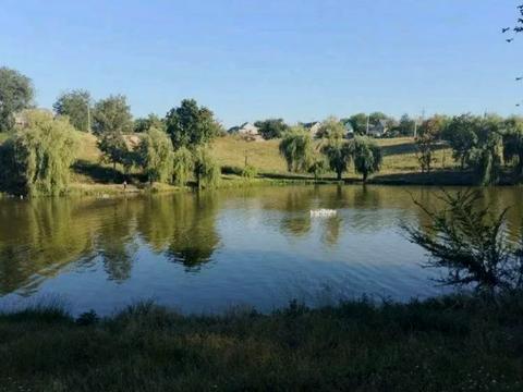 дом по адресу Київська