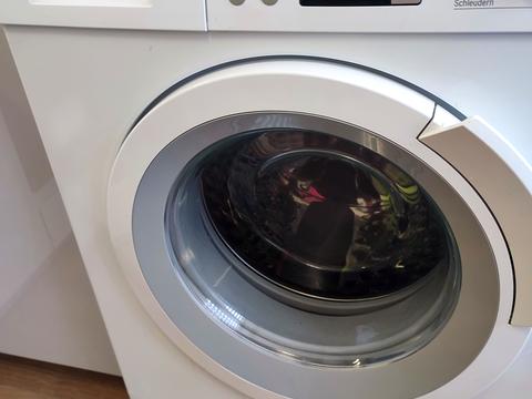 квартира за адресою Петра Дорошенка вул., 53