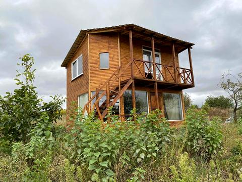 будинок за адресою Володимирська вул., 217