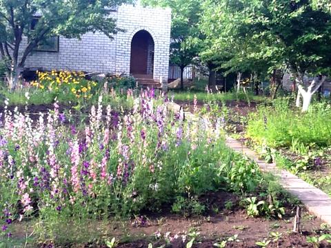 дом по адресу Садове товариство Хорошево