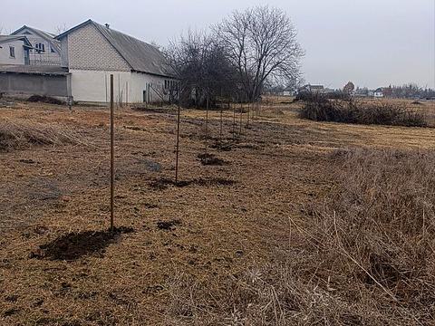 ділянка за адресою Шевченка, 14