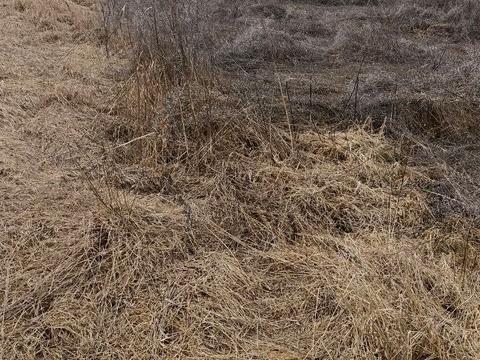 ділянка за адресою Шевченка, 14