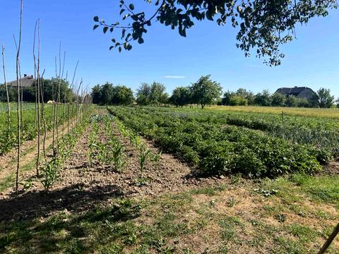 дом по адресу Шевченка