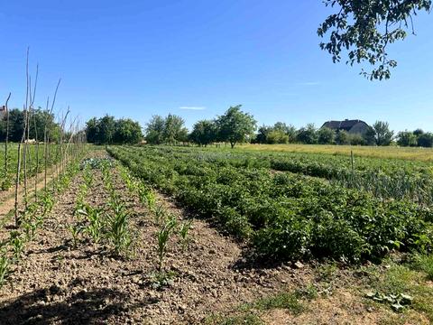 дом по адресу Шевченка