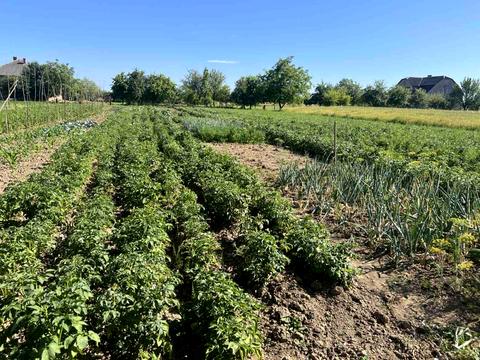 дом по адресу Шевченка