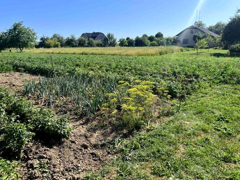 дом по адресу Шевченка