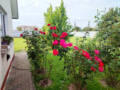 будинок за адресою 1 Травня