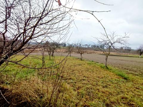 будинок за адресою Набережна, 19