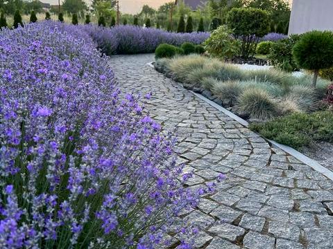 дом по адресу Гайдамацкая ул.