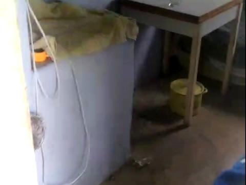 участок по адресу с. Егоровка, 