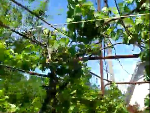 участок по адресу с. Егоровка, 