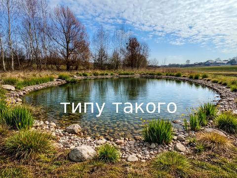 ділянка за адресою с. Городище, щаслива