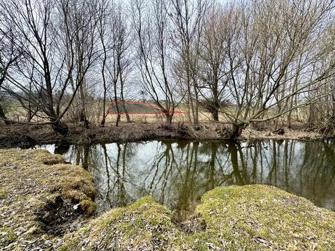 ділянка за адресою с. Городище, щаслива