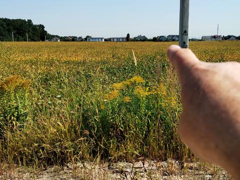 участок по адресу Хуторская ул. (Чапаева)