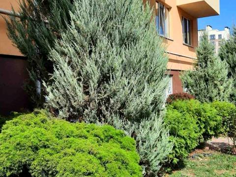 квартира за адресою Бишівська вул., (Будинок 13)