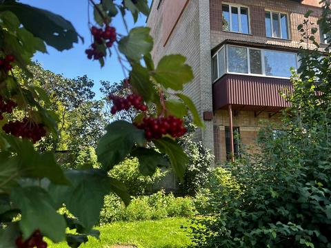 квартира по адресу Чехова ул., 27