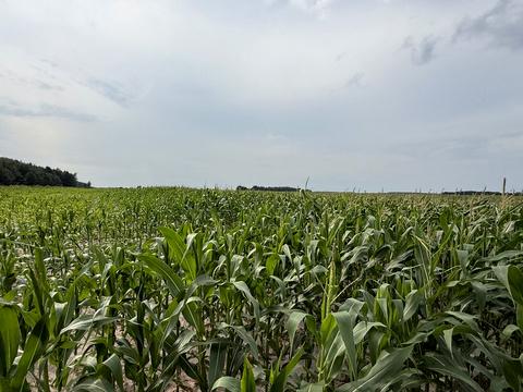 ділянка за адресою 