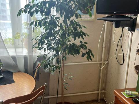 квартира за адресою Іоанна Павла II вул. (Патріса Лумумби), 15