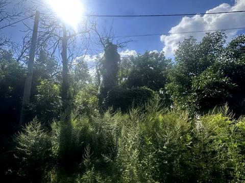 ділянка за адресою Михайла Дерегуса вул. (Янтарна), 38