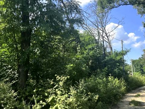 ділянка за адресою Михайла Дерегуса вул. (Янтарна), 38