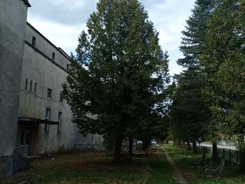 комерційна за адресою с. Довге, Перемоги, 1