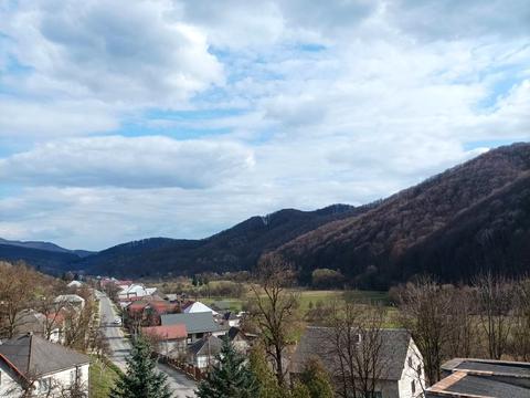 комерційна за адресою с. Довге, Перемоги, 1